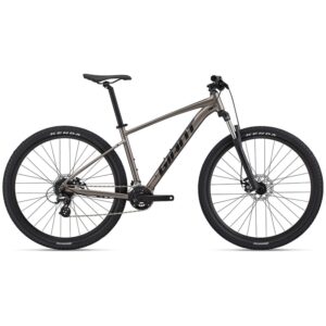 Giant Talon 4 Mountain Bike | Metal 2022